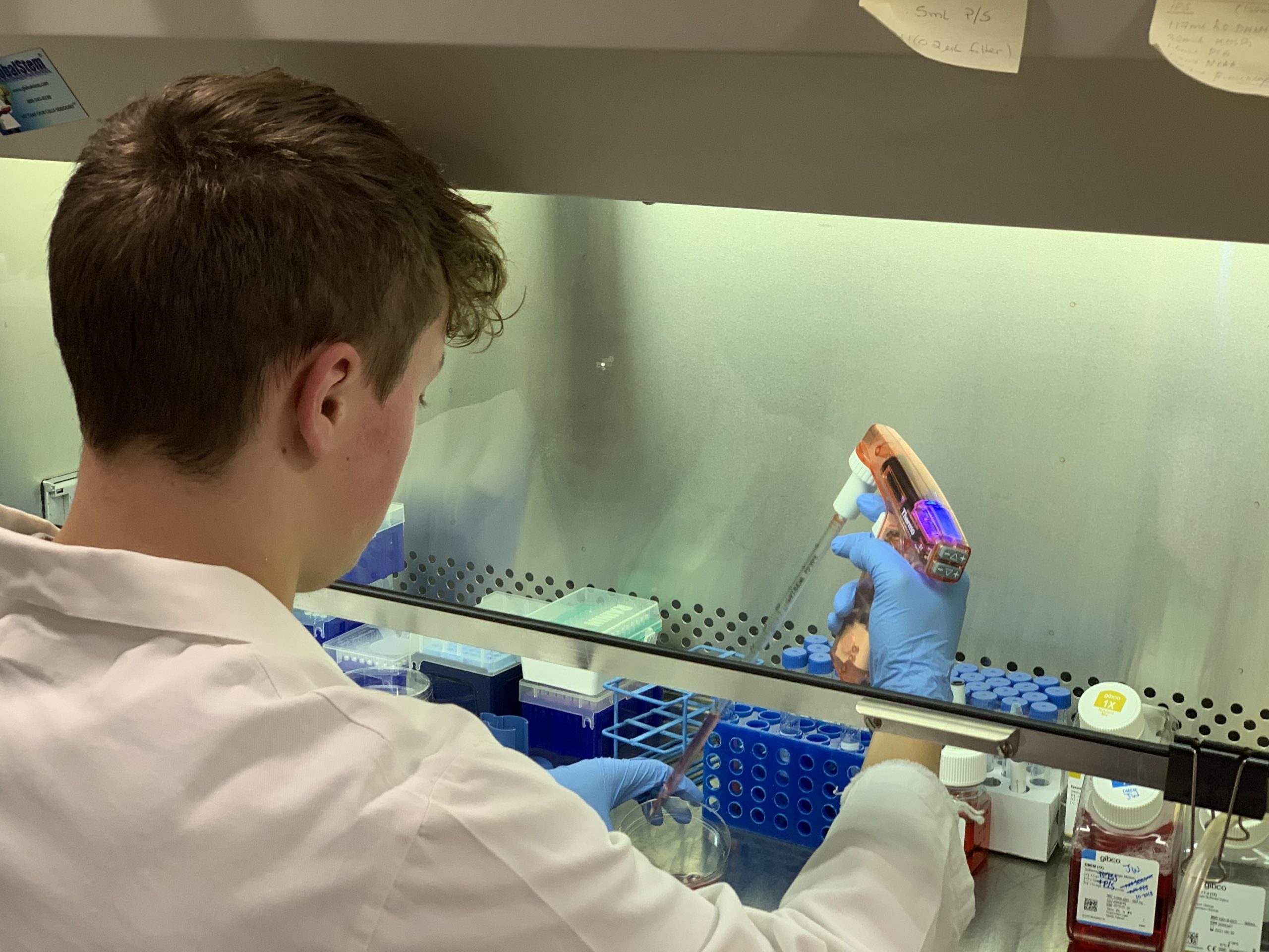 Make a Gift to the Walker Lab