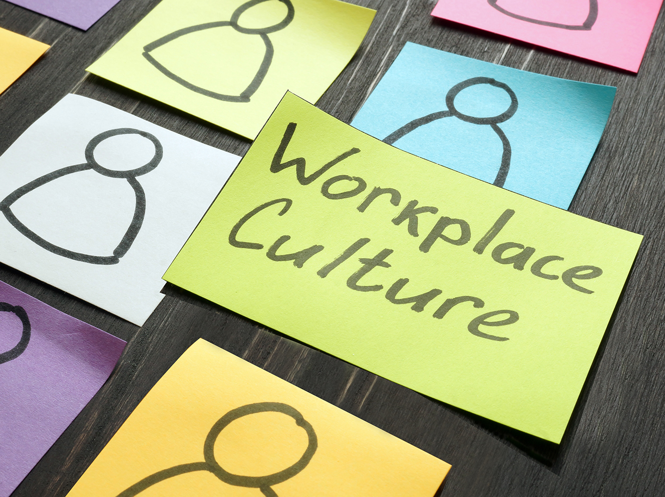 Improving Workplace Culture for Women in Orthopedics